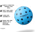 Quiet Indoor Training Balls (2 Pack)
