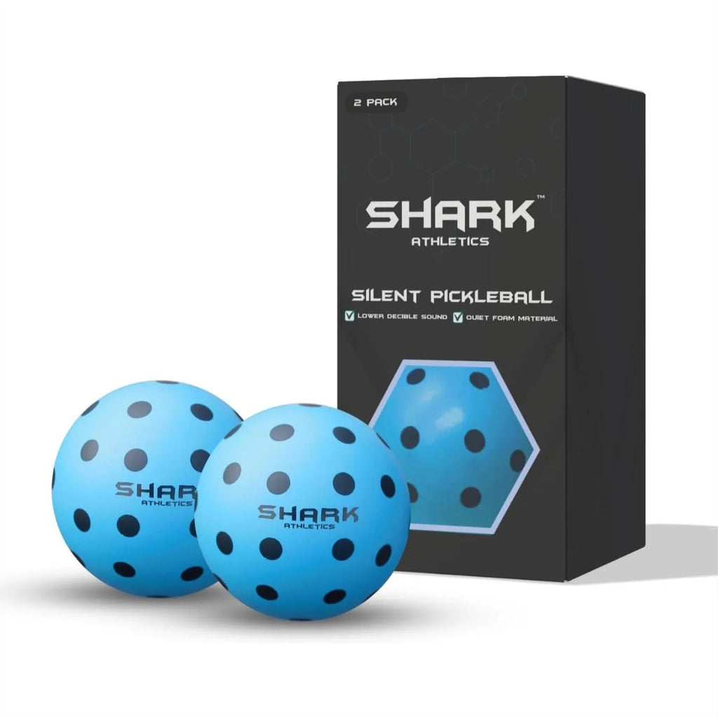 Quiet Indoor Training Balls (2 Pack)