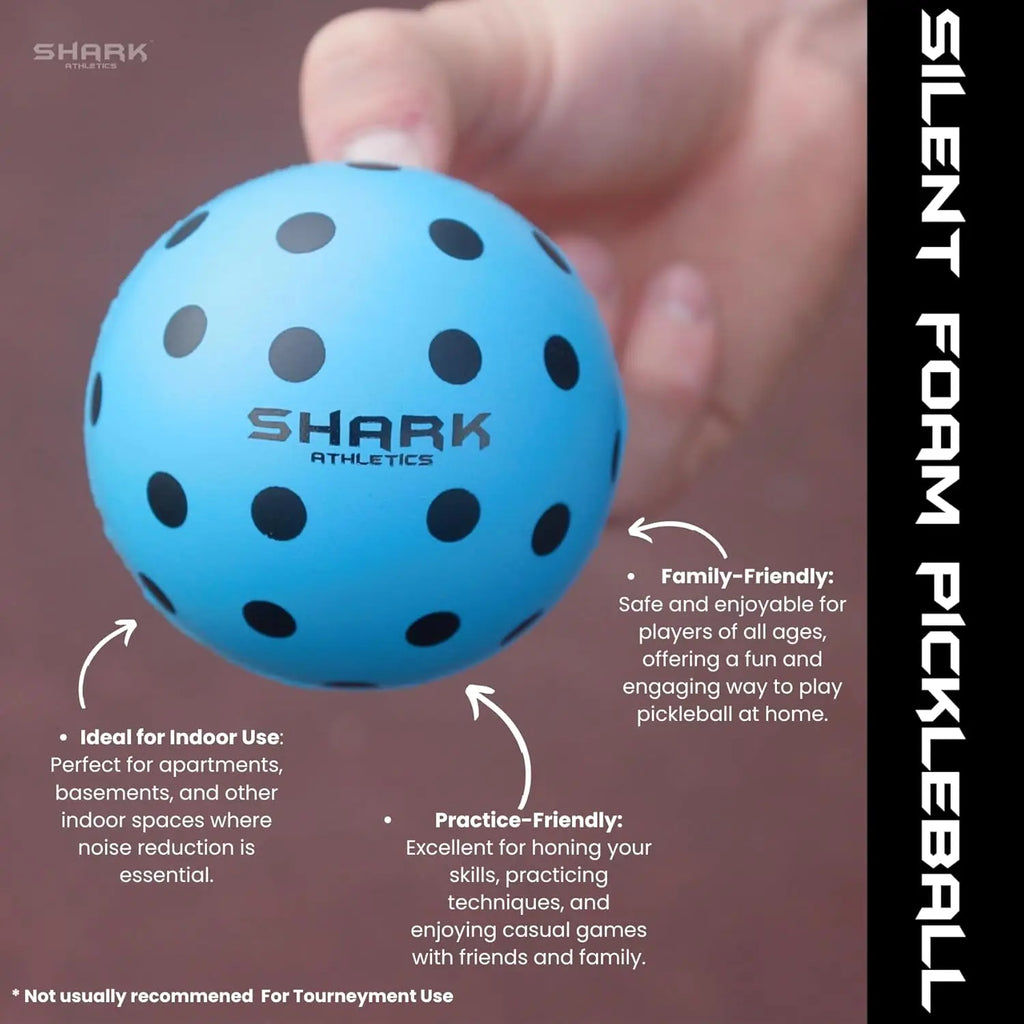 Quiet Indoor Training Balls (2 Pack)